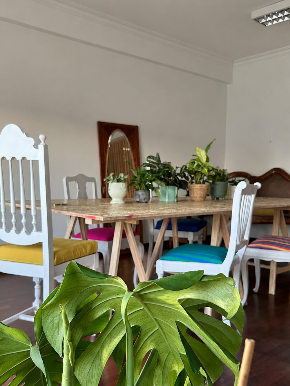 Mesa de trabalho vista por trás de uma monstera, com um espelho antigo ao fundo